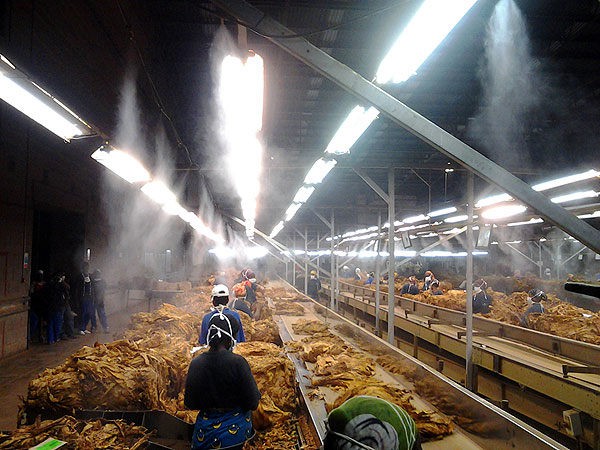 Humidification mist system (6)