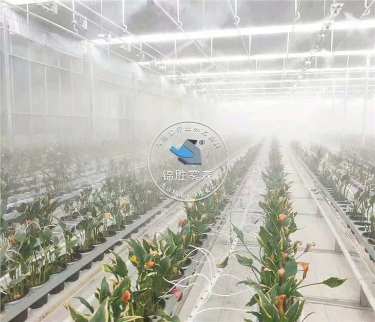 Système d'humidification de serre