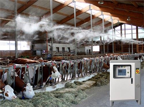 Systèmes de brumisation dans une ferme avicole